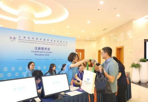 島城青年志愿者 以創意廣告助力上合家園共建