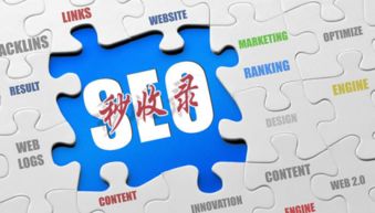 互聯(lián)網(wǎng)營銷實戰(zhàn)指南 破解網(wǎng)站收錄難題，實現(xiàn)銷售落地為王